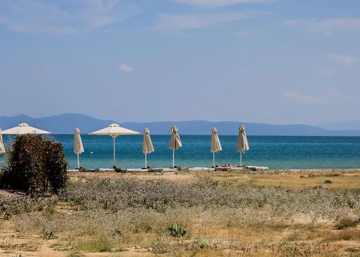 Case de vacanță Sunny Nest With A Sea View By Salt