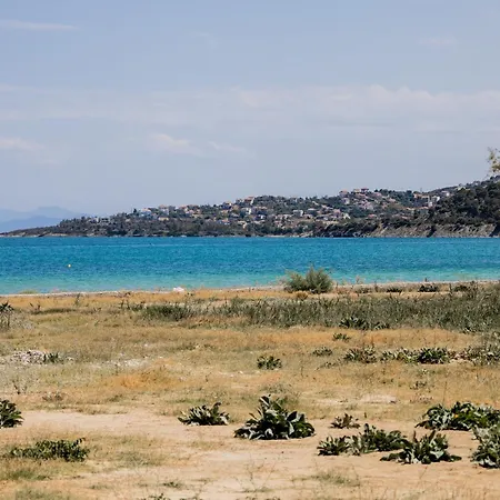 Sunny Nest With A Sea View By Salt Nyaraló