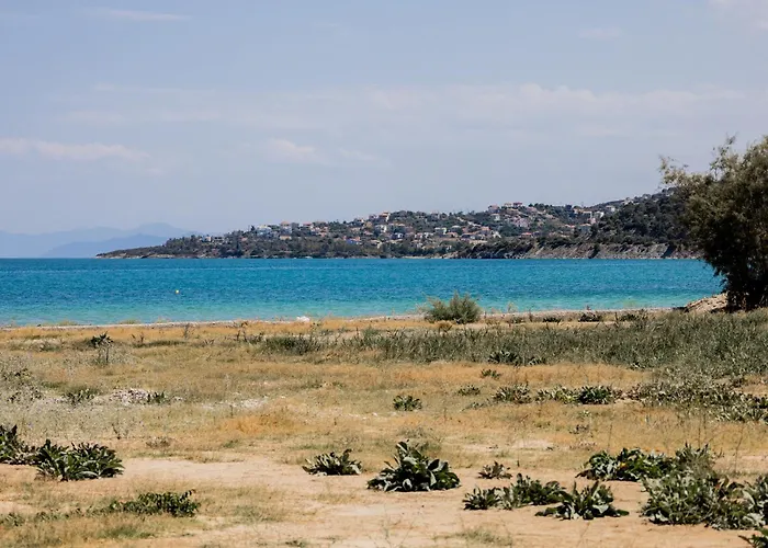 Sunny Nest With A Sea View By Salt Case de vacanță