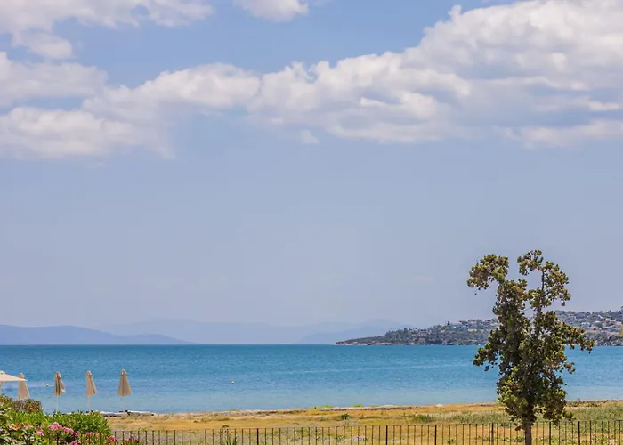 Sunny Nest With A Sea View By Salt Case de vacanță Volos